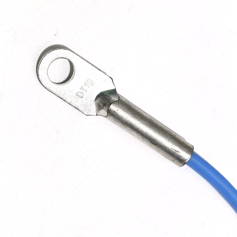 Ds18B20 - DS18B20 especial para sonda del Sensor