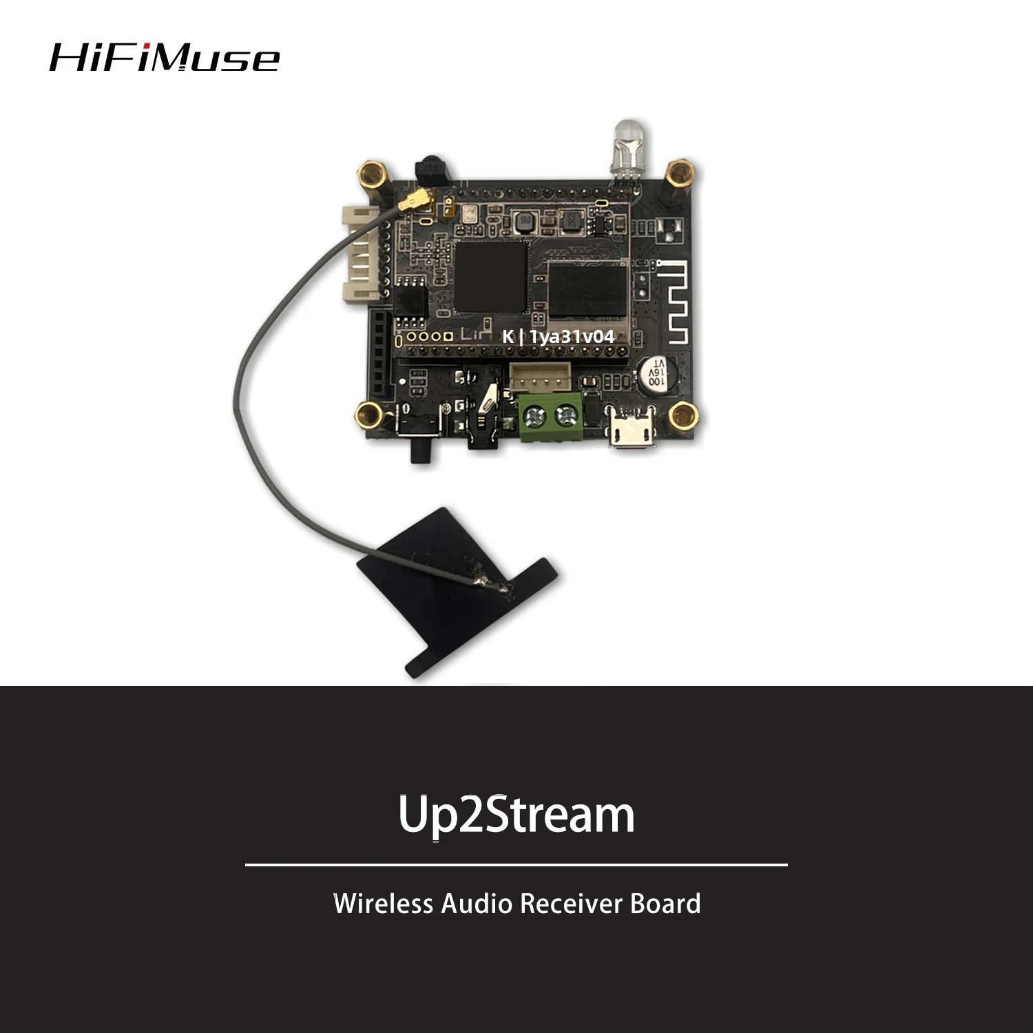 Microphone Module - D10 WiFi y Bluetooth 5,0 Audio