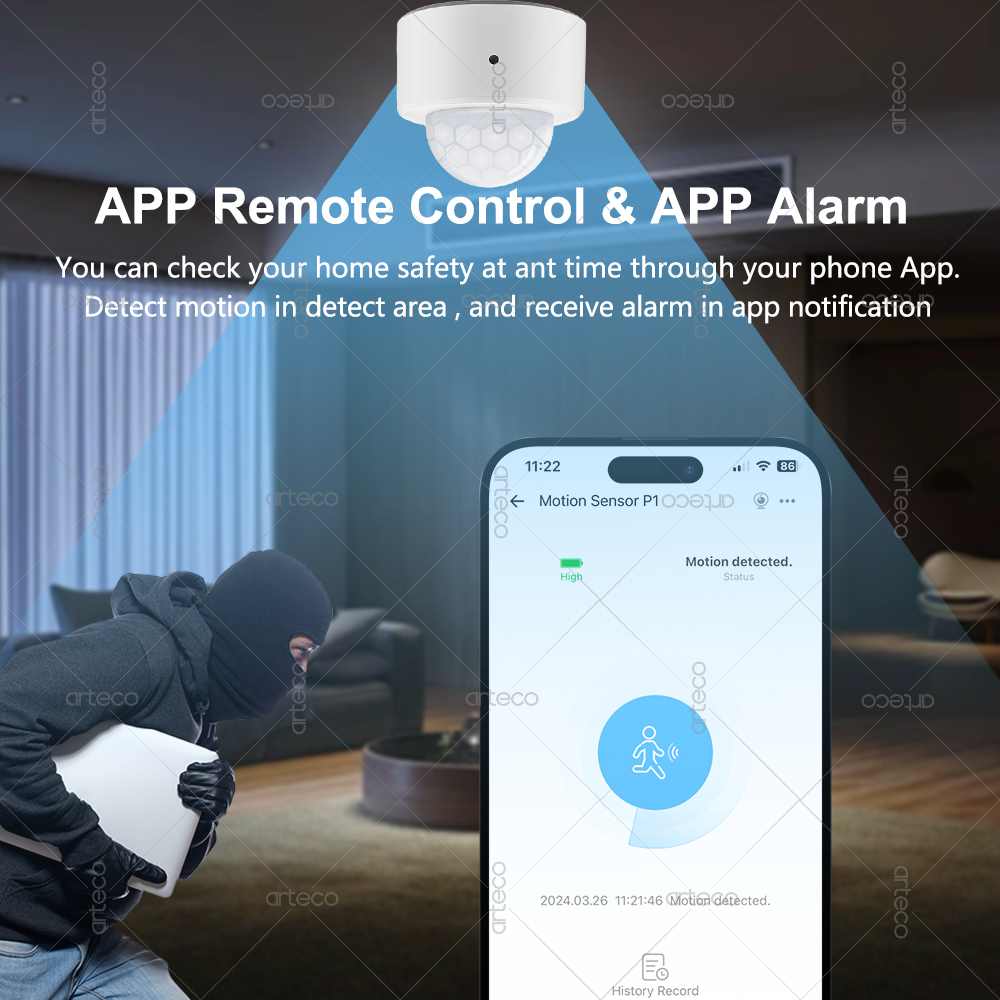 Ewelink-Sensor de movimiento P - Pir Motion Sensor reseña y precio